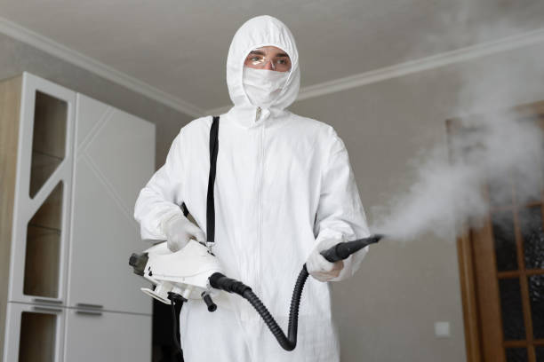 Why You Should Choose Our Mold Remediation Services in East Renton Highlands, WA